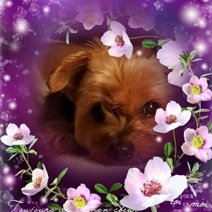 Meet your Posher, Judy